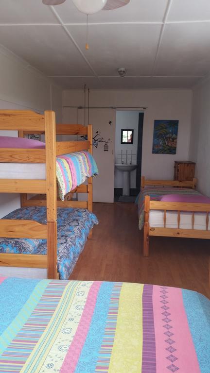 ストロイスバーイ Cape Agulhas Backpackersホステル 部屋 写真