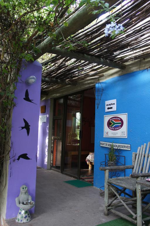 ストロイスバーイ Cape Agulhas Backpackersホステル 部屋 写真