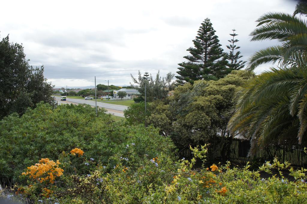 ストロイスバーイ Cape Agulhas Backpackersホステル 部屋 写真